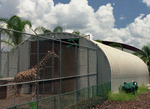 Livestock Arch Metal Building